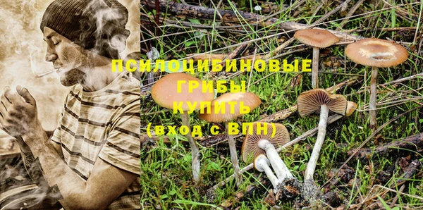 таблы Арсеньев