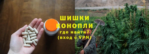 твердый Аркадак
